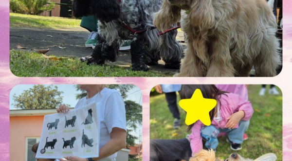 blog images