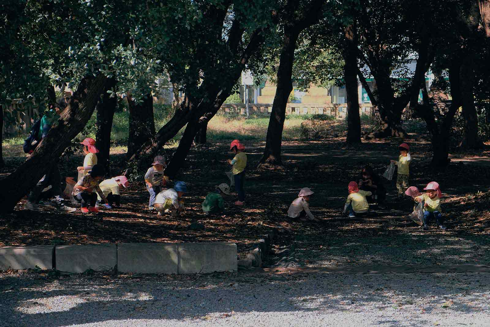 attivita sul territorio